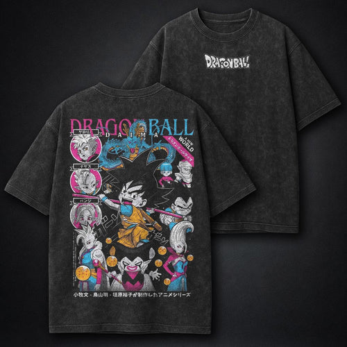 Dragon Ball Minimal Washed T-Shirt